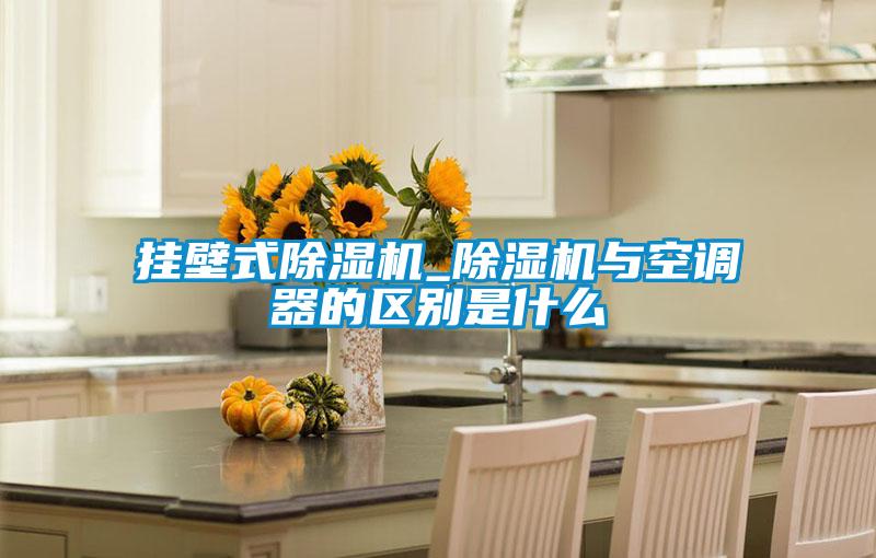 挂壁式黄瓜视频下载污机_黄瓜视频下载污机与空调器的区别是什么