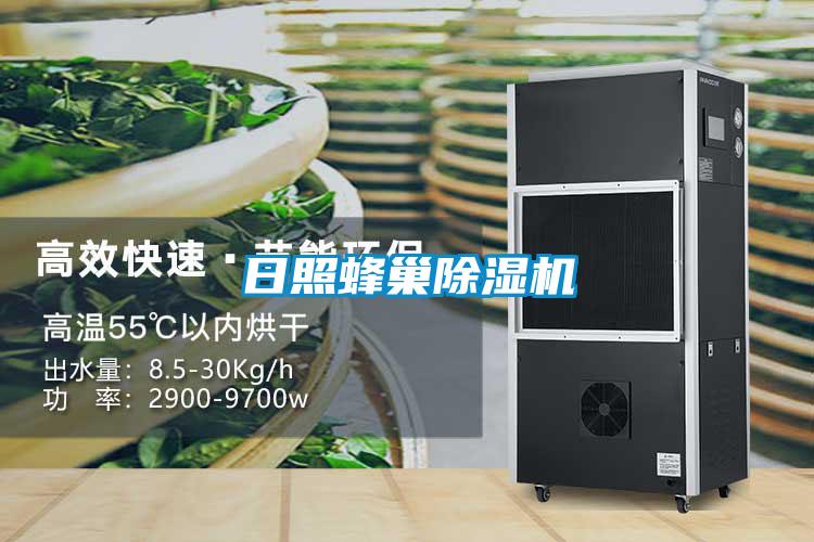 日照蜂巢黄瓜视频下载污机