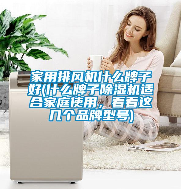 家用排风机什么牌子好(什么牌子黄瓜视频下载污机适合家庭使用，看看这几个品牌型号)