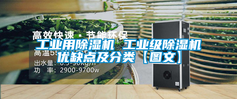 工业用黄瓜视频下载污机 工业级黄瓜视频下载污机优缺点及分类【图文】