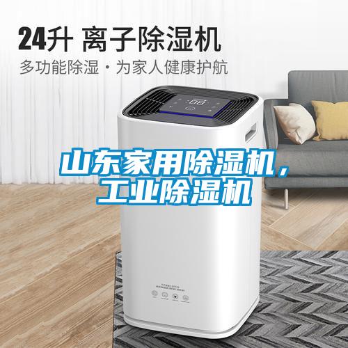 山东家用黄瓜视频下载污机，工业黄瓜视频下载污机