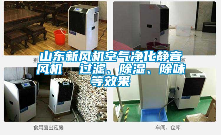 山东新风机空气净化静音风机  过滤、黄瓜视频下载污、除味等效果