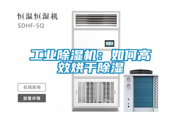 工业黄瓜视频下载污机：如何高效烘干黄瓜视频下载污