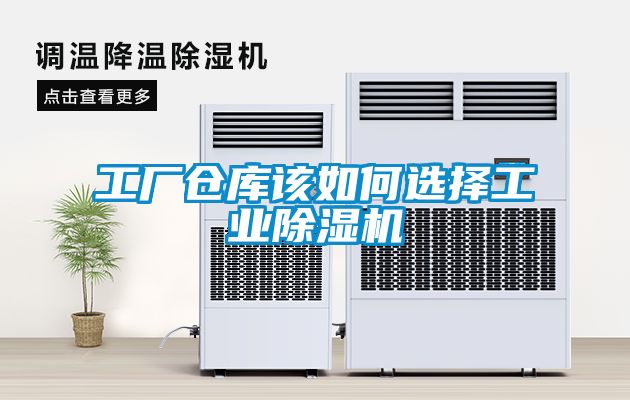 工厂仓库该如何选择工业黄瓜视频下载污机