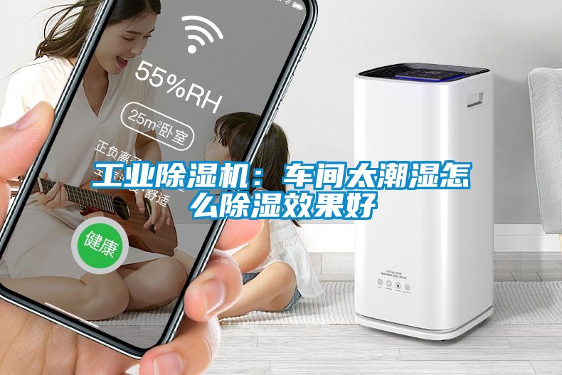 工业黄瓜视频下载污机：车间太潮湿怎么黄瓜视频下载污效果好