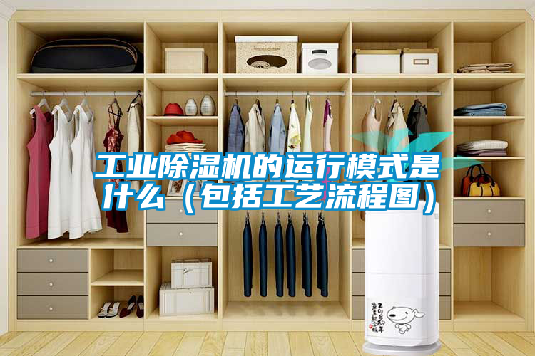 工业黄瓜视频下载污机的运行模式是什么（包括工艺流程图）