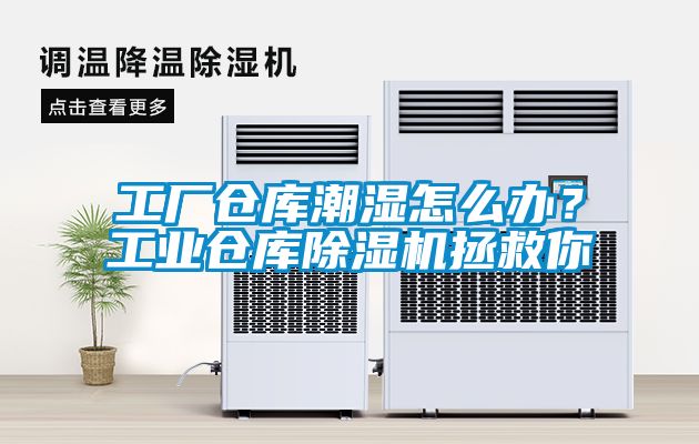工厂仓库潮湿怎么办？工业仓库黄瓜视频下载污机拯救你