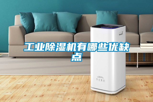 工业黄瓜视频下载污机有哪些优缺点
