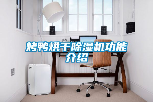 烤鸭烘干黄瓜视频下载污机功能介绍