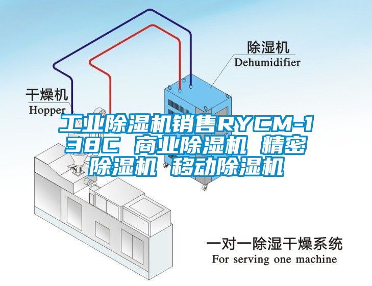 工业黄瓜视频下载污机销售RYCM-138C 商业黄瓜视频下载污机 精密黄瓜视频下载污机 移动黄瓜视频下载污机