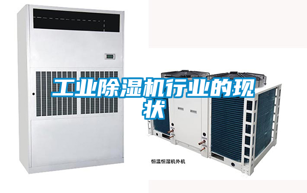 工业黄瓜视频下载污机行业的现状