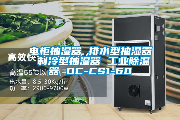 电柜抽湿器 排水型抽湿器 制冷型抽湿器 工业黄瓜视频下载污器 DC-CS1-60
