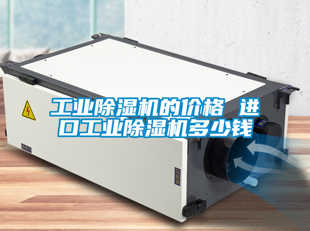 工业黄瓜视频下载污机的价格 进口工业黄瓜视频下载污机多少钱