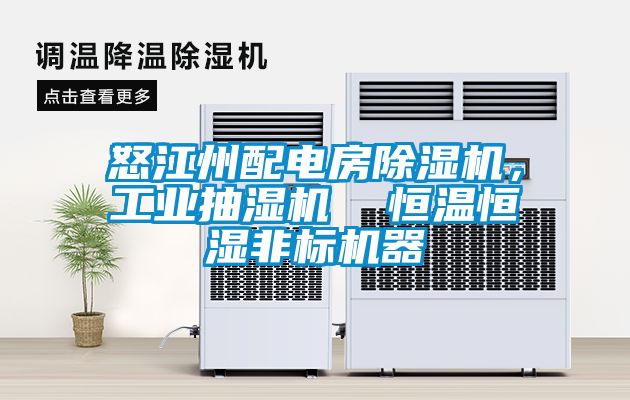 怒江州配电房黄瓜视频下载污机，工业抽湿机  恒温恒湿非标机器