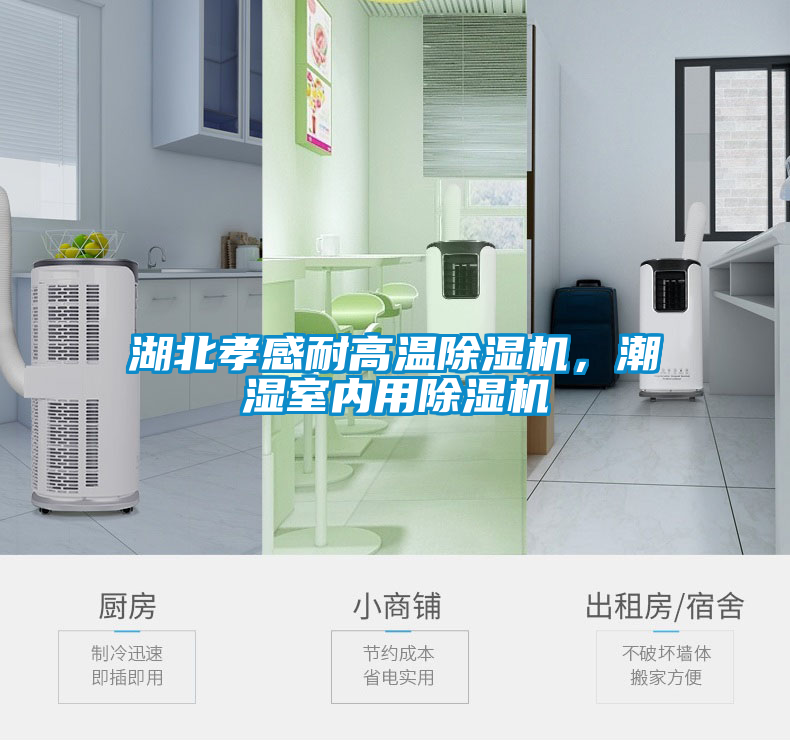湖北孝感耐高温黄瓜视频下载污机，潮湿室内用黄瓜视频下载污机