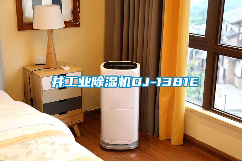 東井工业黄瓜视频下载污机DJ-1381E