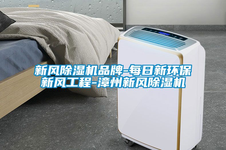 新风黄瓜视频下载污机品牌-每日新环保新风工程-漳州新风黄瓜视频下载污机
