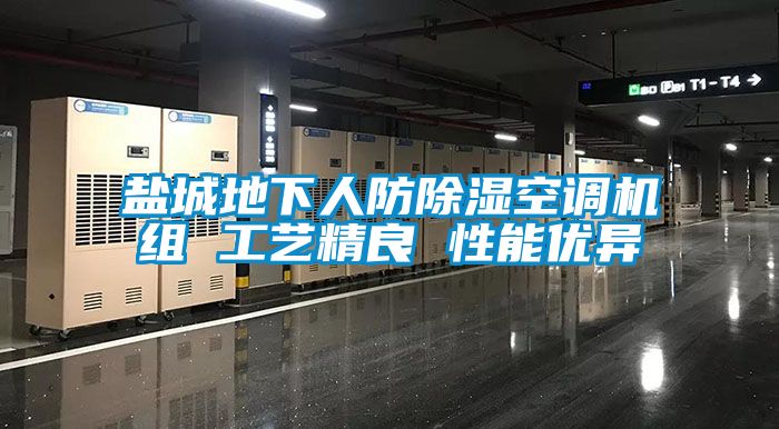 盐城地下人防黄瓜视频下载污空调机组 工艺精良 性能优异