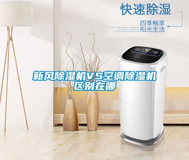 新风黄瓜视频下载污机VS空调黄瓜视频下载污机区别在哪