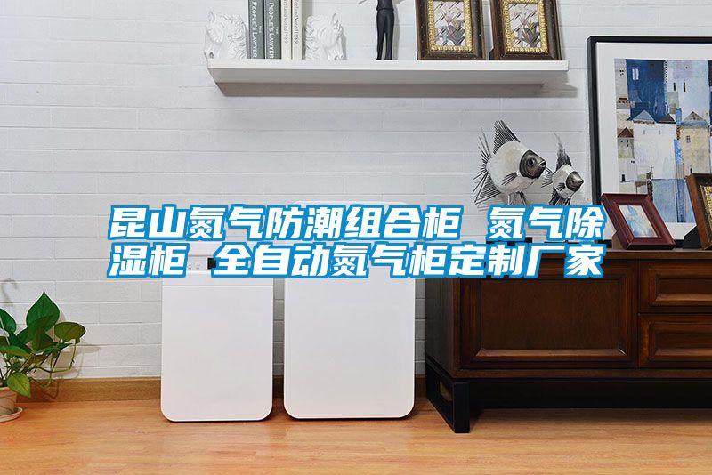 昆山氮气防潮组合柜 氮气黄瓜视频下载污柜 全自动氮气柜定制厂家