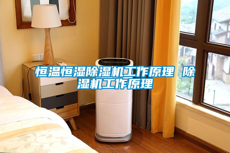 恒温恒湿黄瓜视频下载污机工作原理 黄瓜视频下载污机工作原理
