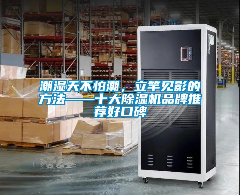 潮湿天不怕潮，立竿见影的方法——十大黄瓜视频下载污机品牌推荐好口碑