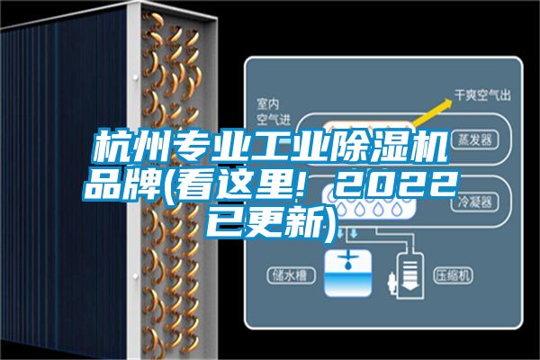 杭州专业工业黄瓜视频下载污机品牌(看这里! 2022已更新)