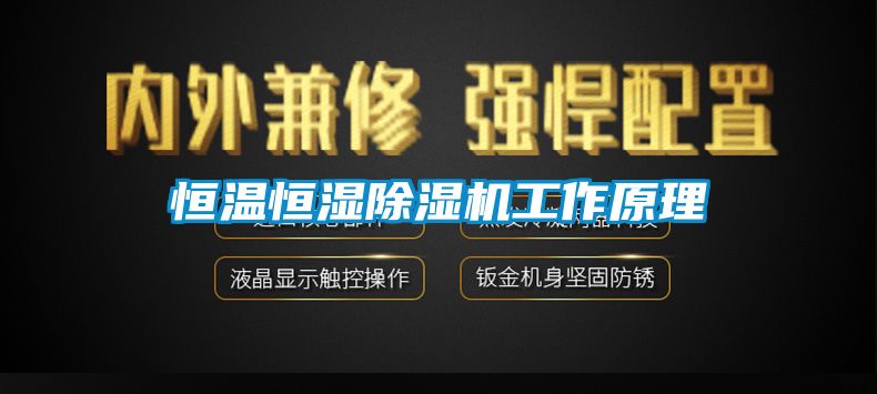 恒温恒湿黄瓜视频下载污机工作原理