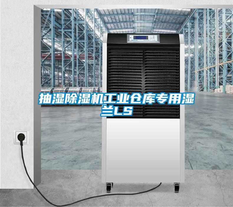 抽湿黄瓜视频下载污机工业仓库专用湿兰LS