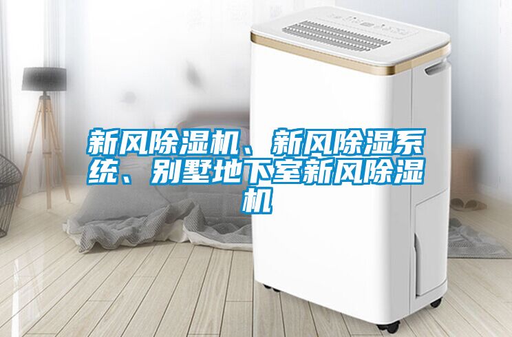 新风黄瓜视频下载污机、新风黄瓜视频下载污系统、别墅地下室新风黄瓜视频下载污机