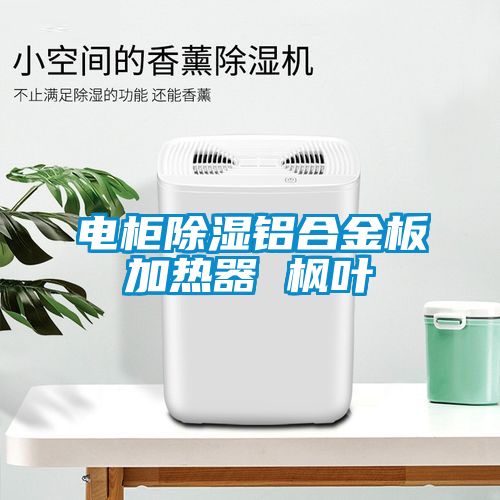 电柜黄瓜视频下载污铝合金板加热器 枫叶