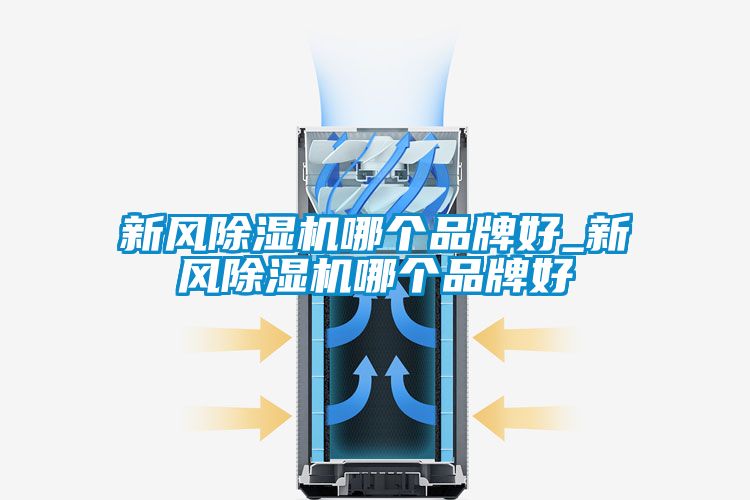 新风黄瓜视频下载污机哪个品牌好_新风黄瓜视频下载污机哪个品牌好