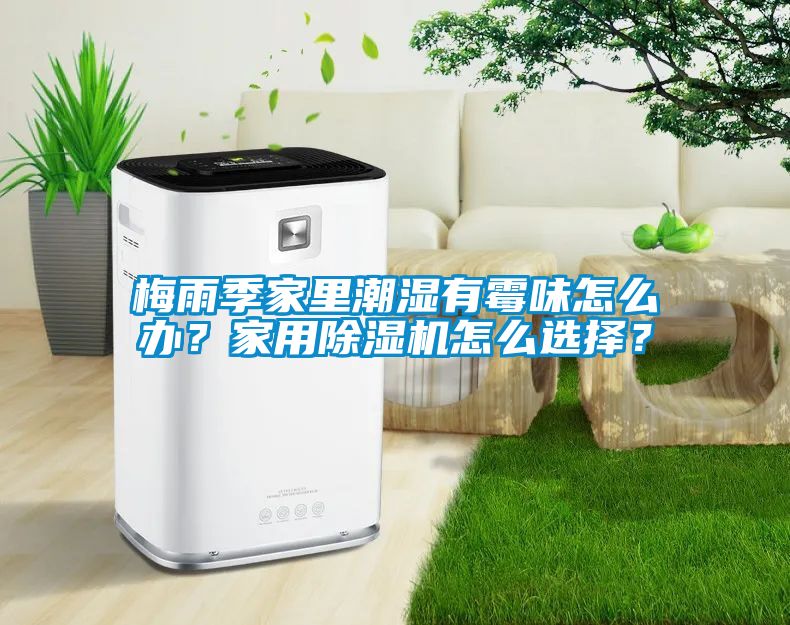 梅雨季家里潮湿有霉味怎么办？家用黄瓜视频下载污机怎么选择？
