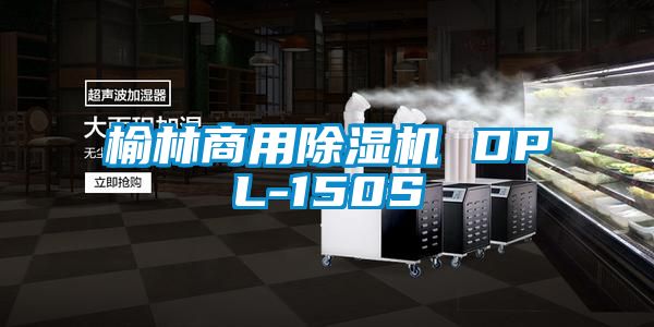 榆林商用黄瓜视频下载污机 DPL-150S