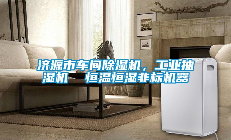 济源市车间黄瓜视频下载污机，工业抽湿机  恒温恒湿非标机器