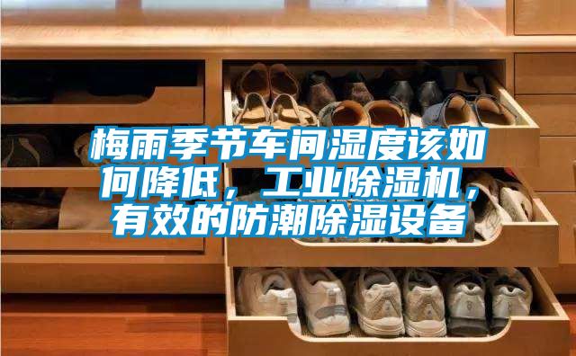 梅雨季节车间湿度该如何降低，工业黄瓜视频下载污机，有效的防潮黄瓜视频下载污设备