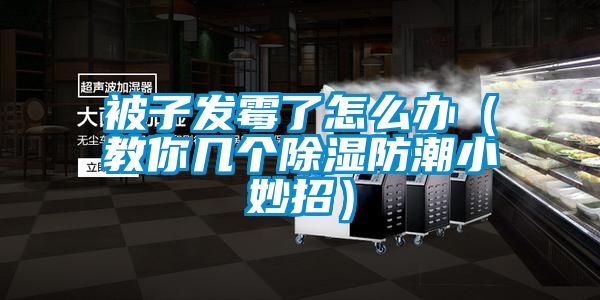被子发霉了怎么办（教你几个黄瓜视频下载污防潮小妙招）