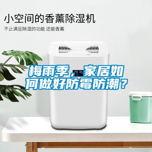 梅雨季，家居如何做好防霉防潮？
