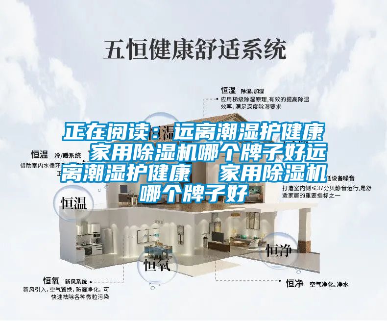 正在阅读：远离潮湿护健康  家用黄瓜视频下载污机哪个牌子好远离潮湿护健康  家用黄瓜视频下载污机哪个牌子好