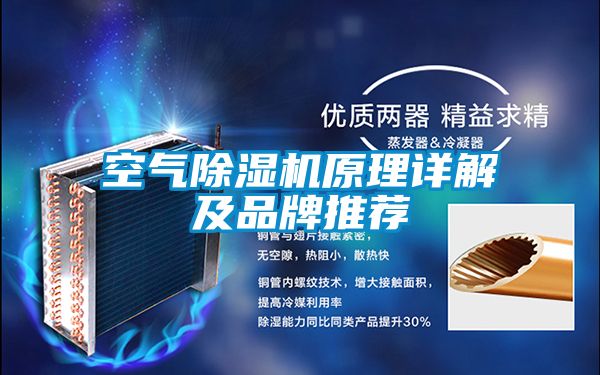 空气黄瓜视频下载污机原理详解及品牌推荐