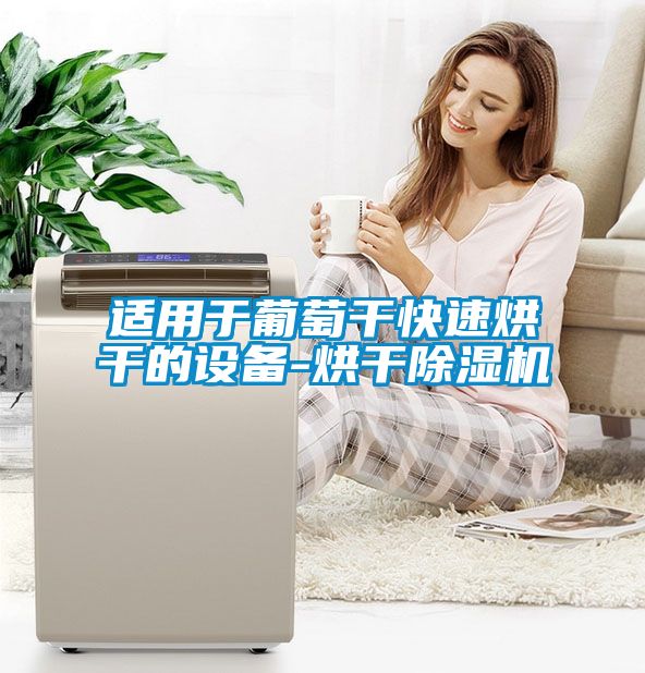 适用于葡萄干快速烘干的设备-烘干黄瓜视频下载污机
