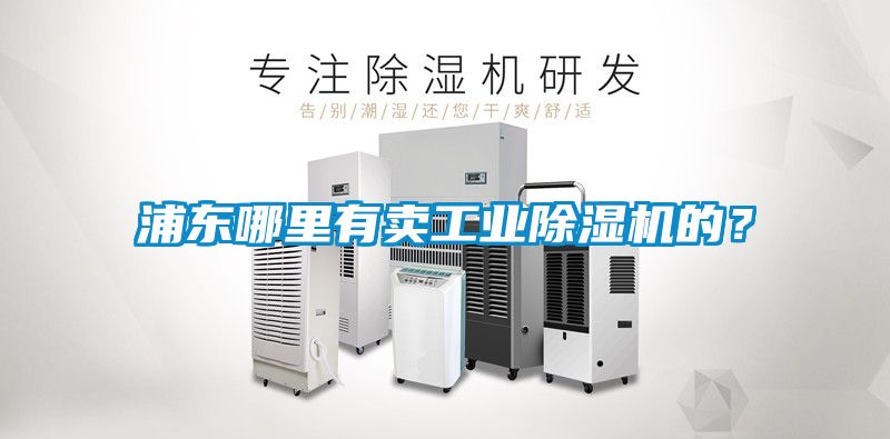 浦东哪里有卖工业黄瓜视频下载污机的？