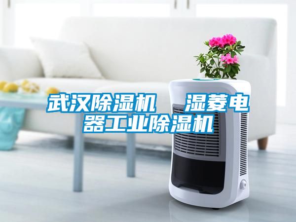 武汉黄瓜视频下载污机  湿菱电器工业黄瓜视频下载污机