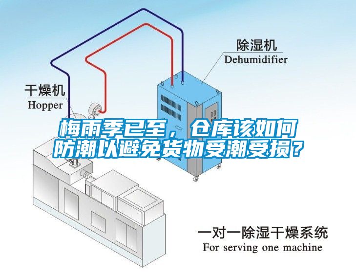 梅雨季已至，仓库该如何防潮以避免货物受潮受损？