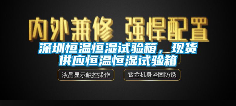 深圳恒温恒湿试验箱，现货供应恒温恒湿试验箱