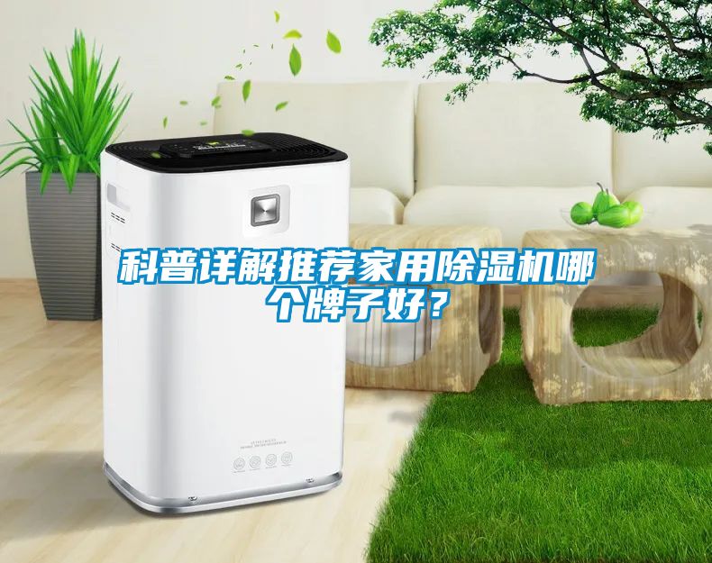 科普详解推荐家用黄瓜视频下载污机哪个牌子好？