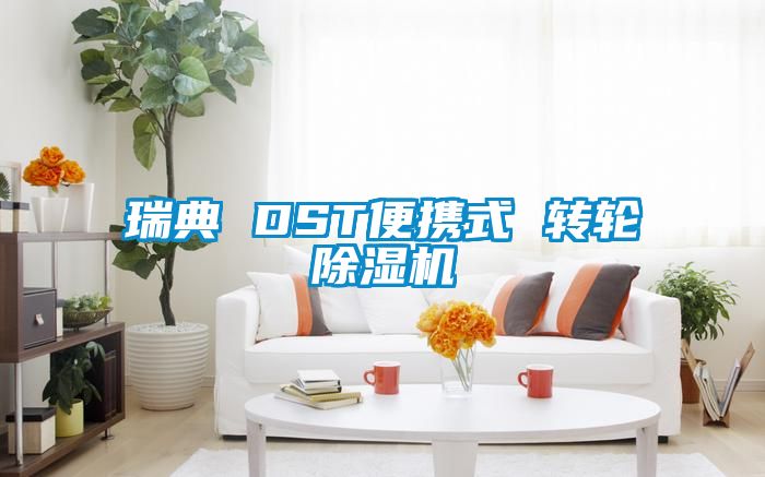 瑞典 DST便携式 转轮黄瓜视频下载污机
