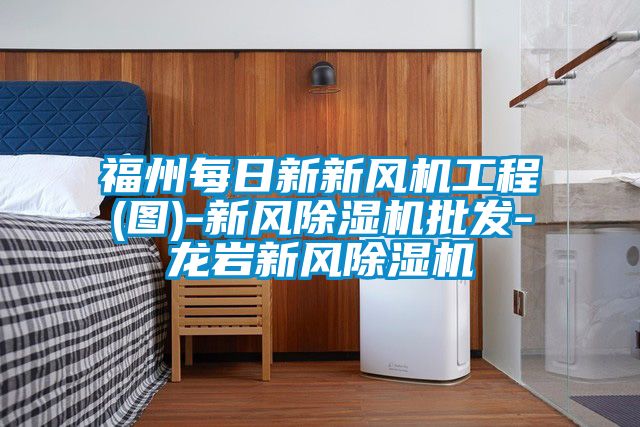 福州每日新新风机工程(图)-新风黄瓜视频下载污机批发-龙岩新风黄瓜视频下载污机
