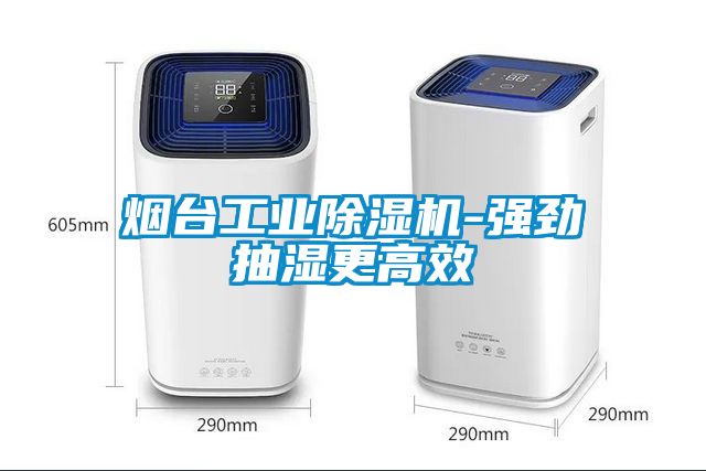 烟台工业黄瓜视频下载污机-强劲抽湿更高效