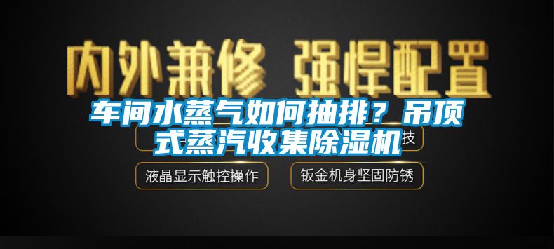 车间水蒸气如何抽排？吊顶式蒸汽收集黄瓜视频下载污机